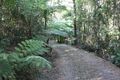 Property photo of 10 Shiva Close Kuranda QLD 4881
