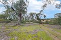 Property photo of 1804 Hamilton Highway Murgheboluc VIC 3218