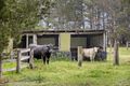Property photo of 84 Fairview Road Springrange NSW 2618