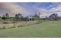 Property photo of 1 Millet Place Upper Coomera QLD 4209