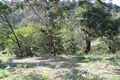 Property photo of 9 Clearwater Close Mount Martha VIC 3934