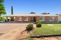 Property photo of 13 Middleton Avenue Paringa SA 5340