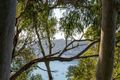 Property photo of 13 Wandearah Avenue Avalon Beach NSW 2107