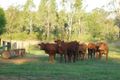 Property photo of 255 Sandy Creek Road Grantham QLD 4347