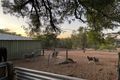 Property photo of 38 Jarrahwood Glen Bullsbrook WA 6084