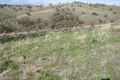 Property photo of 16D Yarrawarrah Road Canowindra NSW 2804