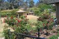 Property photo of 31 Endeavour Street Red Hill ACT 2603
