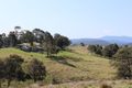 Property photo of LOT 1 Princes Highway Cobargo NSW 2550