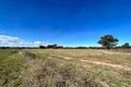 Property photo of 320 River Road Forbes NSW 2871