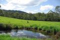 Property photo of 7 Stone Creek Drive Upper Coomera QLD 4209
