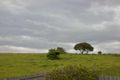 Property photo of 42 Jupiter Street Gerringong NSW 2534