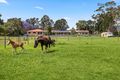 Property photo of 41-43 The Expressway Albion Park NSW 2527