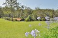 Property photo of 3 Charles Place Nambucca Heads NSW 2448