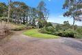 Property photo of 81 Wonga Road Millgrove VIC 3799