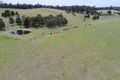 Property photo of 1359 Great Alpine Road Sarsfield VIC 3875