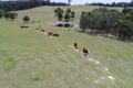 Property photo of 1359 Great Alpine Road Sarsfield VIC 3875