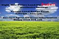 Property photo of 2 Sakarben Street Eight Mile Plains QLD 4113