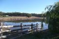 Property photo of 2670 Pyrenees Highway Newstead VIC 3462