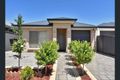 Property photo of 25 Aldridge Avenue Plympton Park SA 5038