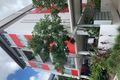 Property photo of 321/986 Wynnum Road Cannon Hill QLD 4170