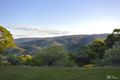 Property photo of 80 Larcombe Drive Wongawallan QLD 4210