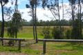 Property photo of 40 Brindisi Place Wynnum QLD 4178