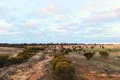 Property photo of LOT 8101 Goldfields Road Kellerberrin WA 6410