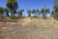 Property photo of 34 Tomkins Bend Nunile WA 6566
