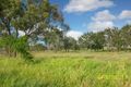 Property photo of 337 Laurel Bank Road Alton Downs QLD 4702