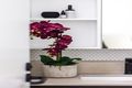 Property photo of 404/2A Royal Parade Caulfield South VIC 3162