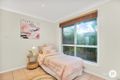 Property photo of 3 Pole Street Northgate QLD 4013