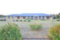 Property photo of 3 Gwynne Place Junee NSW 2663