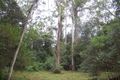 Property photo of 976 Duck Creek Road Duck Creek NSW 2469