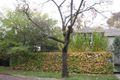Property photo of 3 Mindanao Court Armadale VIC 3143