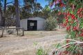 Property photo of 609 Feeneys Lane Benloch VIC 3435