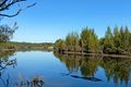Property photo of 879 Armidale Road Skillion Flat NSW 2440