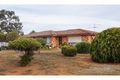 Property photo of 135 Moss Avenue Narromine NSW 2821