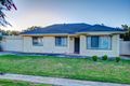 Property photo of 6 Gregory Avenue Campbelltown SA 5074
