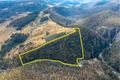 Property photo of 379 Sheepstation Forest Road Gingkin NSW 2787