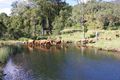 Property photo of 20B Colvin Road Canungra QLD 4275
