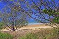 Property photo of 192 Scenic Highway Lammermoor QLD 4703
