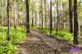 Property photo of 373 Maras Creek Road Utungun NSW 2447