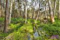 Property photo of 373 Maras Creek Road Utungun NSW 2447