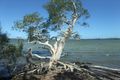 Property photo of 14 Lake View Court Weyba Downs QLD 4562