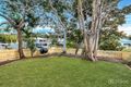 Property photo of 31 Lizzie Street Bardon QLD 4065
