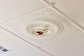 Property photo of 31 Burleigh Avenue Woodville North SA 5012