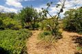 Property photo of 8 The Boulevard Balwyn North VIC 3104