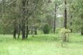 Property photo of 34 Griffin Road Blackbutt QLD 4314