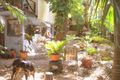 Property photo of 61 Toolga Street Mount Coolum QLD 4573