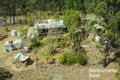 Property photo of 1674 Paddys Flat Road Tabulam NSW 2469